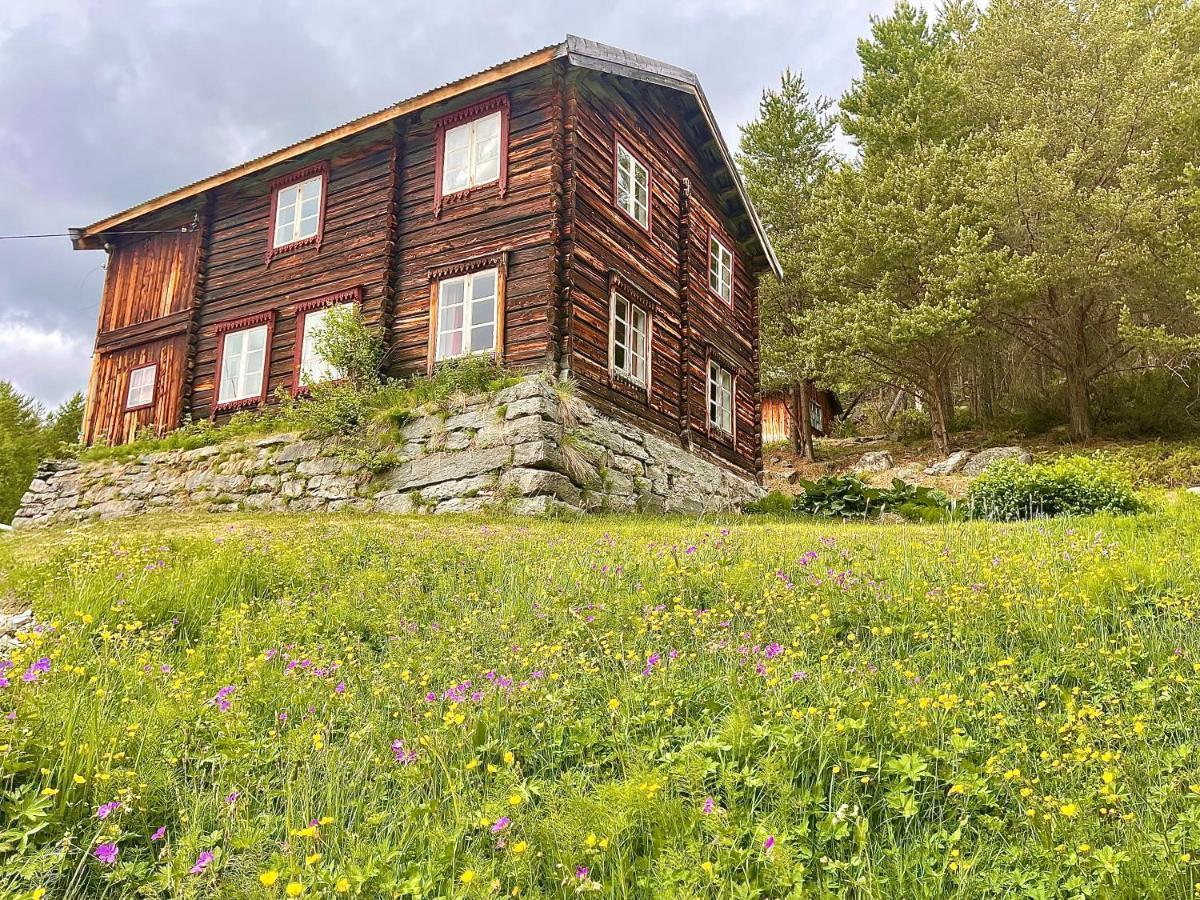 Reinheimen Lodge Skjåk Zewnętrze zdjęcie
